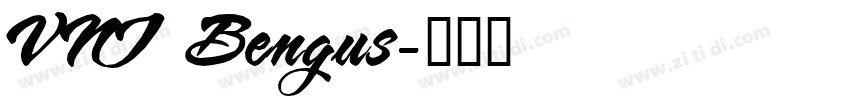 VNI Bengus字体转换